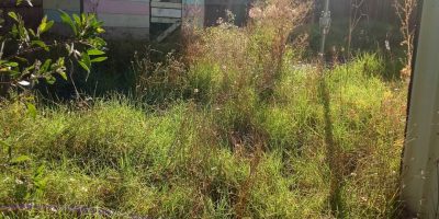 IMG_20221209_102331_405