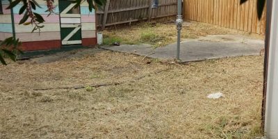 IMG_20221209_102331_432