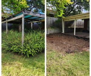 "Before and after backyard cleanup in Melbourne: overgrown weeds and ferns removed, revealing a clean open space under the pergola"