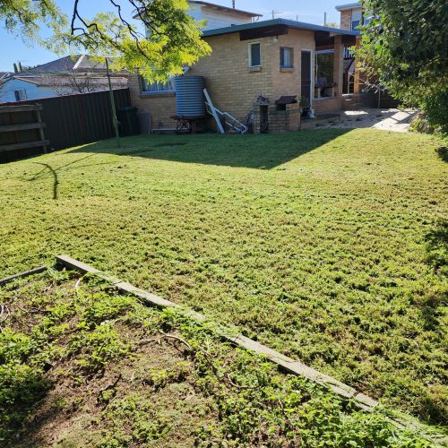 Neat and tidy backyard with freshly mowed lawn and edged grass in the Melbourne suburban of Spingvale home after professional garden clean-up