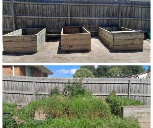Before and after of a garden clean ups in Melbourne: Top shows empty raised timber garden beds on bare dirt; bottom shows the same beds completely overgrown with tall weeds and grass, transformed back to clean and tidy by Backyard Cleanup's professional weeding and garden clearing service.