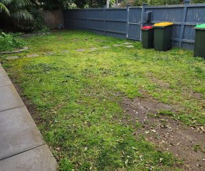 After photo of the pile of green waste gone in a front yard in Melbourne 👍