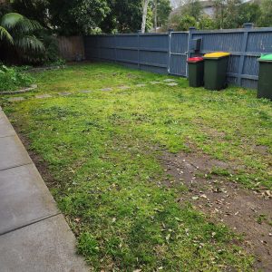 After photo of the pile of green waste gone in a front yard in Melbourne 👍