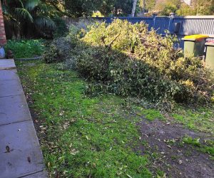 pile of green waste in front yard in Melbourne suburb