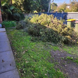 pile of green waste in front yard in Melbourne suburb
