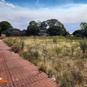 Overgrown vacant block in suburban Melbourne with tall dry thick grass and weeds posing a fire hazard