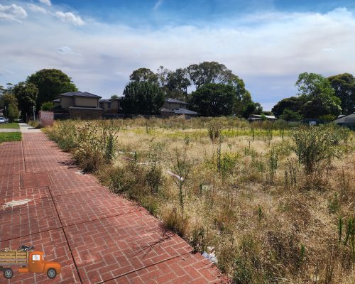 Overgrown vacant block in suburban Melbourne with tall dry thick grass and weeds posing a fire hazard
