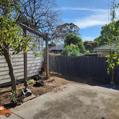 After of blackberry removal and dense passionfruit vines in Ringwood
