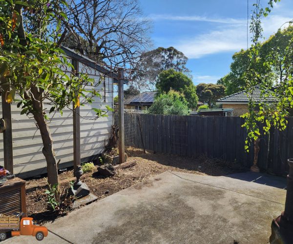 after-removal-of-dense-vines-and-to-revile-a-paved-area After of blackberry removal and dense passionfruit vines in Ringwood