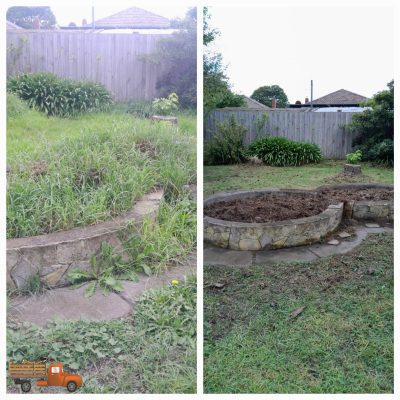 Before and after of a raised garden bed that's as been cleaned out of cuttings and weeds