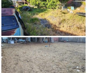 Before and after photo of overgrown thick grass in a back yard in Melbourne