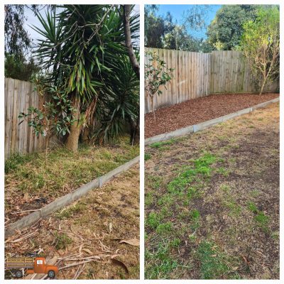 Before and after of some yakka's and a dead tree removed with some pine bark mulch spared in the garden bed