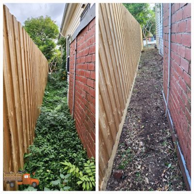 Before and after side access wisteria vine removal and garden clean-up service in Melbourne