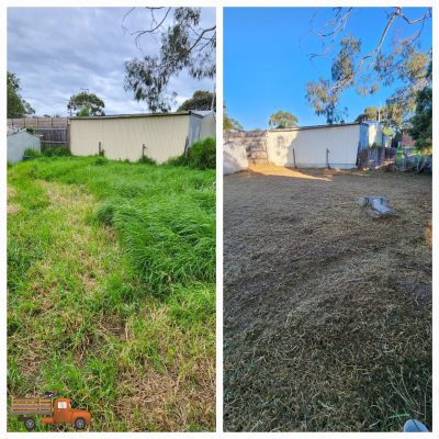 Before and after overgrown grass cutting in a backyard by Backyard Cleanup